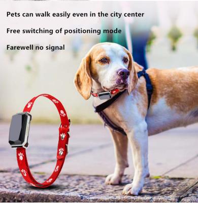 China Beidou Positioning Intelligent 45X45mm PET Training Collars Gps Tracking Collar For Dogs for sale