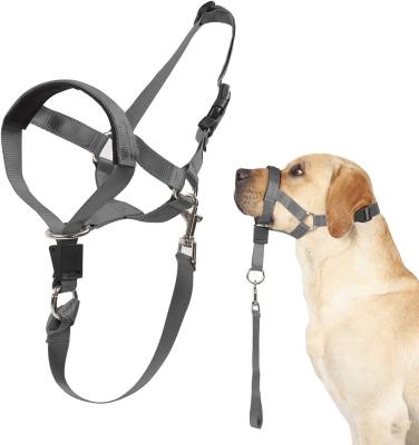 Chine Le collier de tête de chien aucun outil de formation de traction pour des chiens sur des promenades inclut le manuel d'instruction libre à vendre