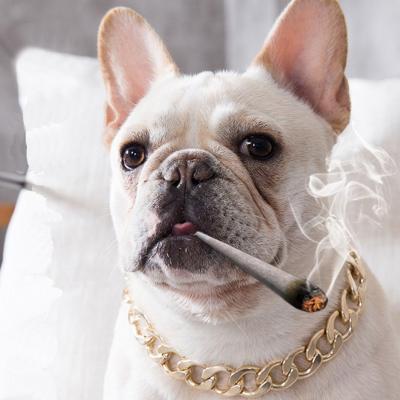 China Rechargeable Metal Big Dog Gold Chain Summer Pet Fashion Accessories for sale
