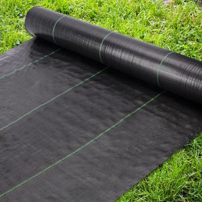 China 100gsm PP Weed Control Fabric Barrier Membrane UV Resistant Durable for sale