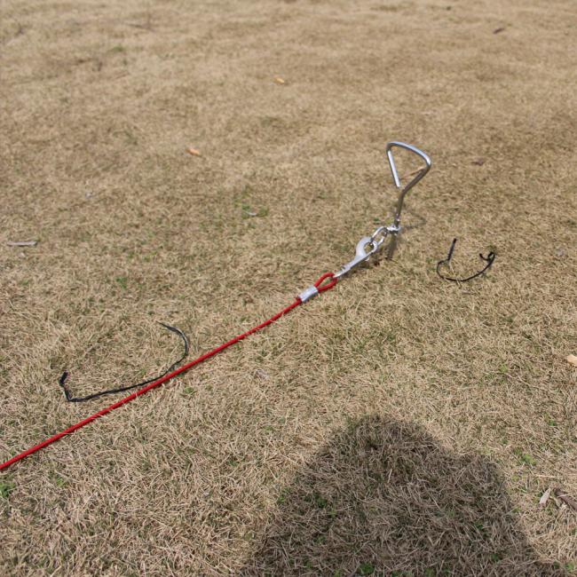 Heavy duty spiral dog stake