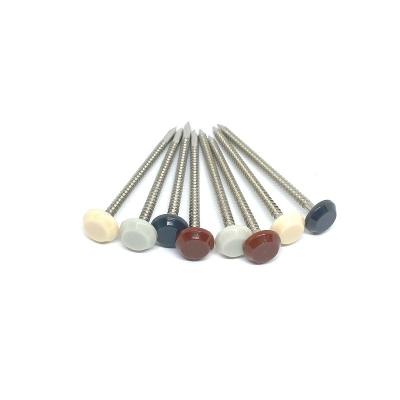 China 2.5X50MM Annular Groove Plastic Head Nails for sale