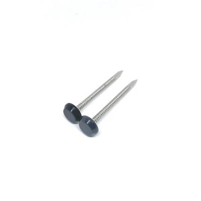 China A4 Stainless Steel Ring Shank Plastic Head Nails Black Anthracite Grey 50MM for sale