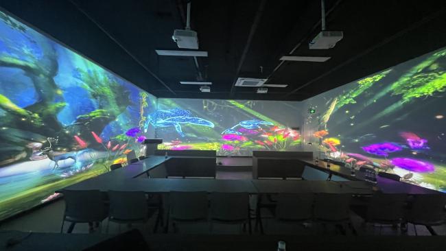 Projection effect demonstration 4