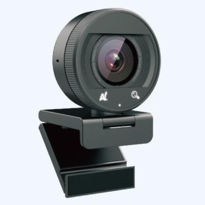China 2K Conference AI Webcam USB 3.1 Gen 1 HFR60FPS@YUY1080P Lossless  Webcam For Laptop And PC en venta