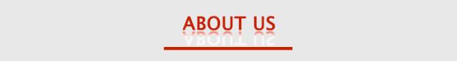 High Quality Dry Powder Mortar Production Line Wall Putty Sand Cement Mixer Equipment Ceramic Tile Adhesive Making Machine