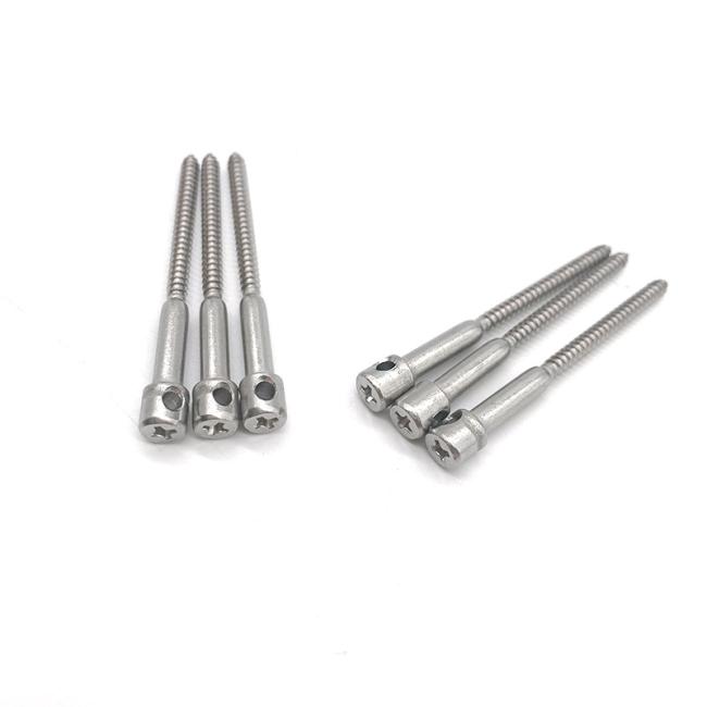 Lead seal screw Slotted single hole meter screws