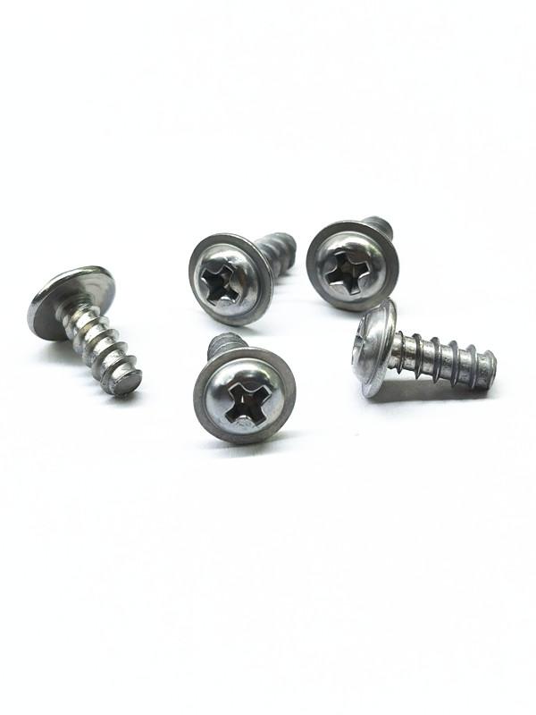 Phillips Washer Pan Head Screw