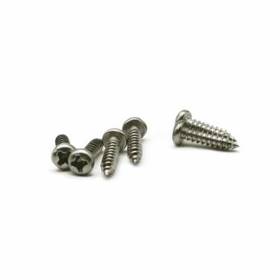 China Precision Small Stainless Steel Self Tapping Screws PA2.5x8 SS304 Material for sale