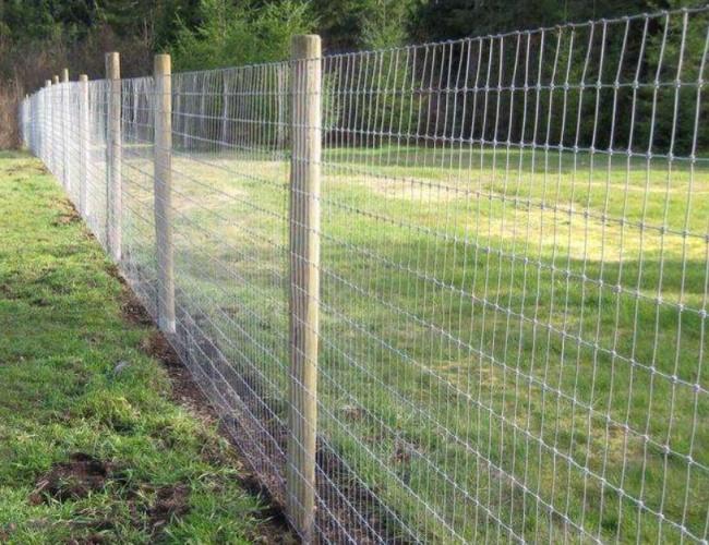High Tensile Strength Cattle Fence Wire Mesh Fence for cattle