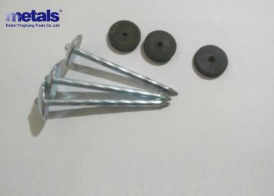 China Metal Electro Galvanized Nails 1.25