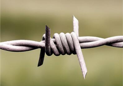China Durable Single Twisted Concertina Barbed Wire Protection Against Corrosion And Oxidation for sale