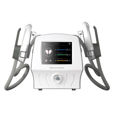 China esculpir do corpo do Ems da vibração da redução das celulites da máquina do emagrecimento do corpo 220V à venda