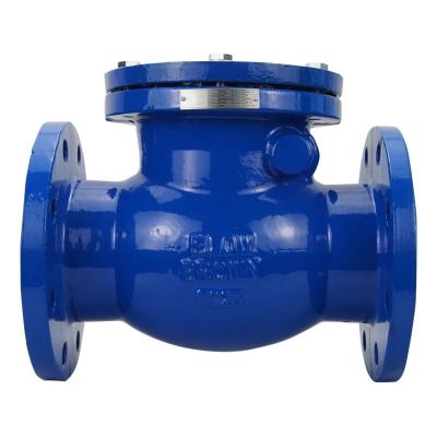 China Carbon steel stainless ANSI150 DIN PN16 WCB DI SS Stainless Steel Swing Type Check Valve for sale