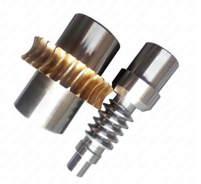China Non Standard Worm Gear Worm Wheel Stainless Steel Material 2 Module for sale