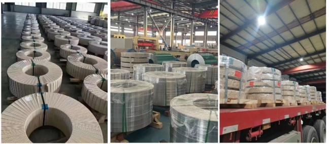 Stainless Steel Coil