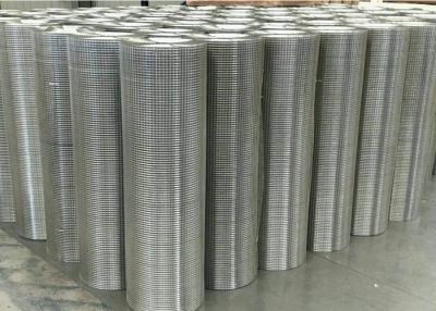 China Galvanized Welded Wire Mesh Rolls 3/8