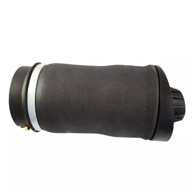 W251 Air Spring Rear