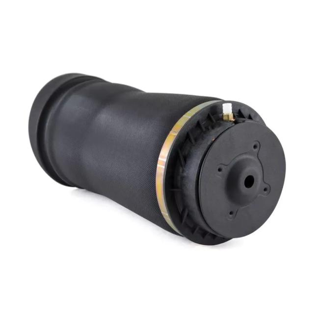 W251 Air Spring Rear