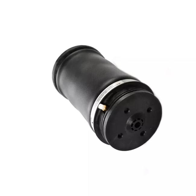 W164 Air Spring Rear