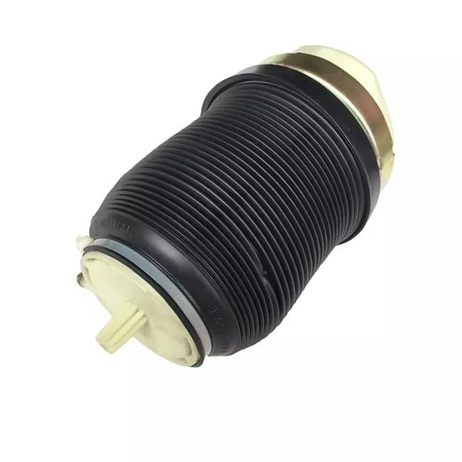 A6 C6 Air Spring Rear