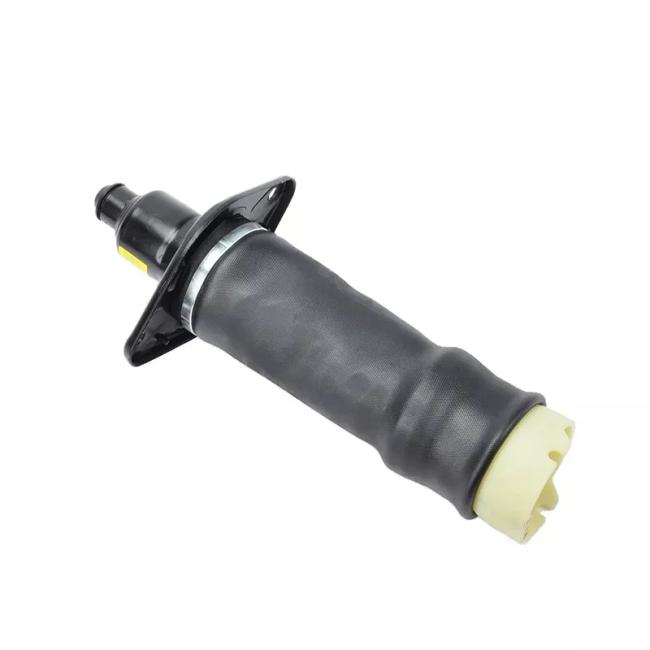 A6 C5 Air Spring Rear L&R