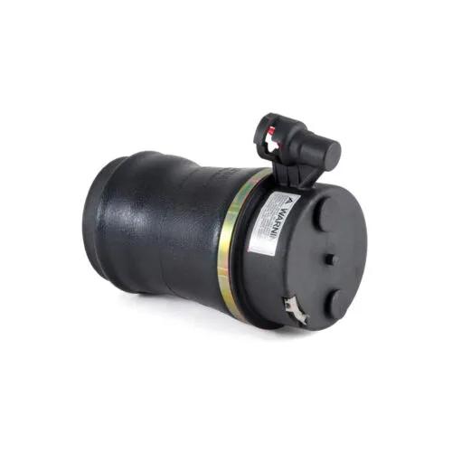 Ford Rear Air Spring