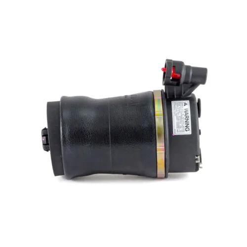 Ford Rear Air Spring