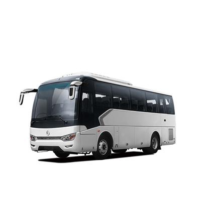 Chine Dragon Diesel Luxury Coach Bus d'or 220 HP 8m 10 - 34 sièges Team Travel Bus à vendre