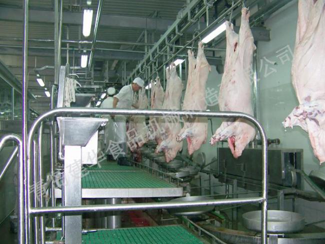 Carcass Processing Conveying Line