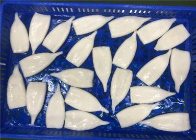 China Natural Color U5 Todarodes Pacificus Frozen Squid Tubes for sale