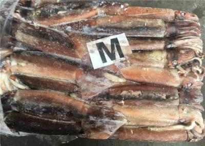 China 250g Fresh Frozen Squid for sale