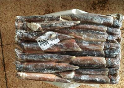 China El método ligero A de la captura califica el calamar congelado fresco de BQF 300G en venta