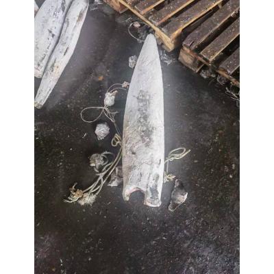 China Congelação rápida individual IQF de HGT 25kg + peixes de espada congelados para a venda à venda