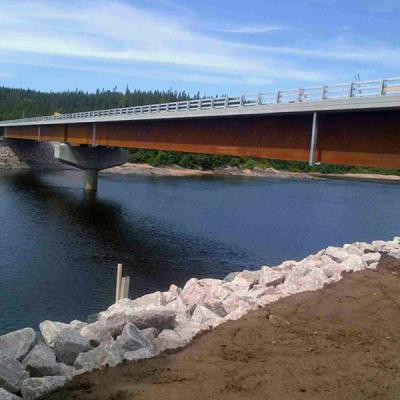 Chine Pont en acier à voie unique en acier de poutre en tôle de pont piétonnier d'envergure multi à vendre