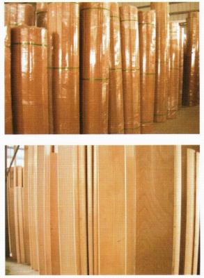 China Rotary Plywood For Rotary Diecutting Dia. 360 / 487 Length 1800 to 3000mm Beech Curved Dieboard for sale