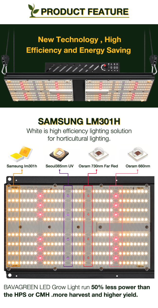 BAVAGREEN 240W Pro full spectrum SAMSUNG LM301H LED Grow Light for cannabis 3