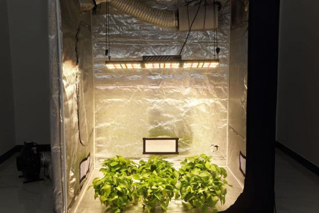 Full Spectrum LED Grow Lights v4 samsungs lm301h uv ir 320w for indoor plant growth 4
