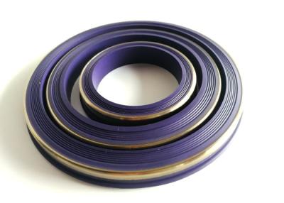 China ISO9001 Approved Professional Hydraulic Lip Seal 1-150000 Psi Pressure for sale