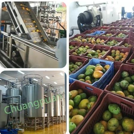 Quality 500-50000KG/H Mango Juice Processing Plant 380V 410V 20KW for sale