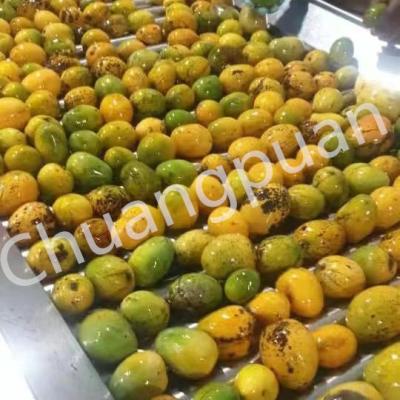 China Línea de producción automática de pulpa de mango Planta de procesamiento de jugo de mango concentrado en venta
