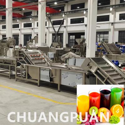 China Customizable 1 - 10T/H Celery Ginger Juice Production Line Squeezing Processing Machine for sale