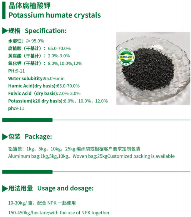 Crop growth enhancement with potassium humate powder