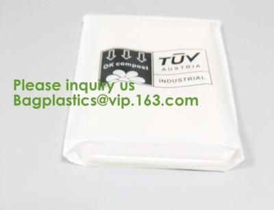 Cashew; Pistachio Nuts;Coconut; Potato Chips;Puffed Food;Instant Noodle; Underwear; Swimsuit; Swinwear, bagease, package