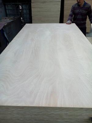 China Commercial Plywood/Ordinary Plywood/Fancy Plywood/Veneered Plywood/Decorative Plywood for sale
