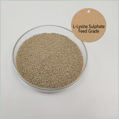 China Feed Grade 0.61g/Cm3 L Lysine Sulphate , CAS 657-27-2 Pure Amino Acids for sale