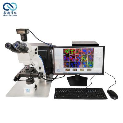 China Clinical Examination  Microscope Hospital Teaching Use Portable Digital for sale