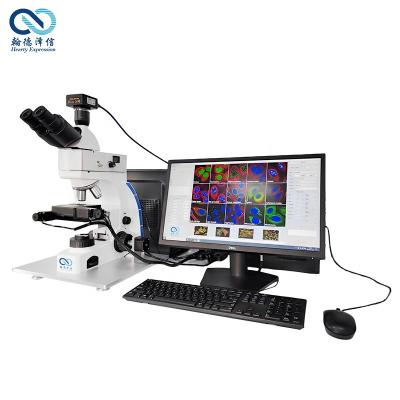 China Binocular LED Microscope Hospital Digital Fully Automatic AI Fluorescent for sale