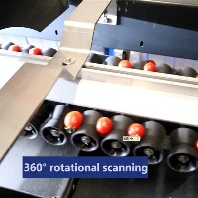 China 380V Stainless Steel Mechanical Cherry Tomatoes Sorting Grading Machine 8 Lanes for sale