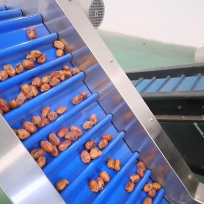 China Unlocking Efficiency Revolutionizing Palm Dates Sorting Machine with Cutting Edge Technology for sale